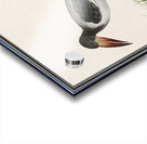 Unknown bird in vintage style Acrylic print