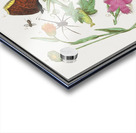 Nature ensemble in vintage style Acrylic print