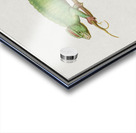 Chameleon in vintage style Acrylic print