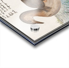 Little grebe in vintage style Acrylic print