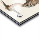 Purple heron in vintage style Acrylic print