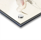 Wallcreeper in vintage style Acrylic print