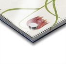 Snakes head flower and apple Acrylic print