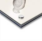 Parrot in vintage style Acrylic print