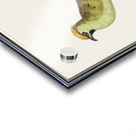 Bohemian waxwing in vintage style Acrylic print