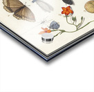 Nature ensemble in vintage style Impression Acrylique