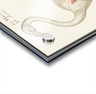 Flamingo in vintage style Acrylic print