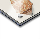 Flamingo in vintage style Acrylic print