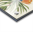 Kaisers crown in vintage style Acrylic print