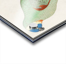 Turquoise-fronted amazon in vintage style Acrylic print