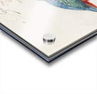 Kingfisher in vintage style Acrylic print