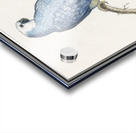 Grey parrot in vintage style Acrylic print