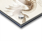 Dragon in vintage style Acrylic print