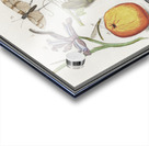 Nature ensemble in vintage style Acrylic print