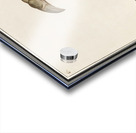 Lobster in vintage style Acrylic print