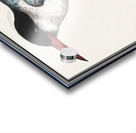 Tern in vintage style Acrylic print