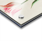 Tulip in vintage style Acrylic print