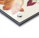 Tulip in vintage style Acrylic print