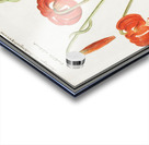 Red lily in vintage style Acrylic print