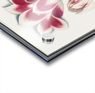 Tulip in vintage style Acrylic print