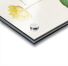 Yellow floppy in vintage style Acrylic print