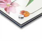 Tulip in vintage style Acrylic print