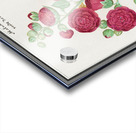 Cyclamen in vintage style Acrylic print