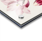 Tulip in vintage style Acrylic print