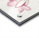 Tulip in vintage style Acrylic print