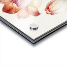 Tulip in vintage style Acrylic print