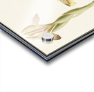 Yellow iris in vintage style Acrylic print