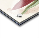 Maize in vintage style Acrylic print