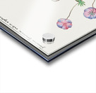 Geranium in vintage style Acrylic print