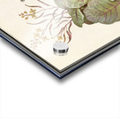 Cabbage in vintage style Acrylic print