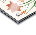 Orange daylily in vintage style Acrylic print