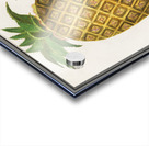 Pineapple in vintage style Acrylic print