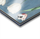 Tulip in vintage style Acrylic print