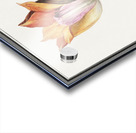 Tulip in vintage style Acrylic print