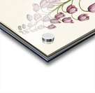 Persian lily in vintage style Acrylic print