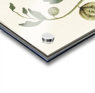 Watermelon in vintage style Acrylic print