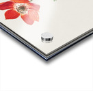 Anemone in vintage style Acrylic print