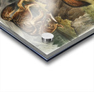 Prairie Wolf Canis latrans  Acrylic print