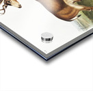 Columbian Black-tailed Deer Cervus Richardsonii  Acrylic print