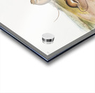 Jumping Mouse Meriones Americanus  Acrylic print