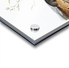 Shrew Mole Scallops Brewerii  Acrylic print