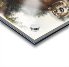 American wild cat Lynx rufus  Acrylic print