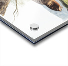 Cat Squirrel Sciurus cinereus  Acrylic print