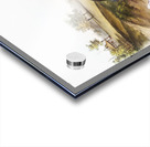 Cotton Rat Arvicola hispidus  Acrylic print