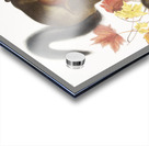 Long-haired Squirrel Sciurus longipilis  Acrylic print