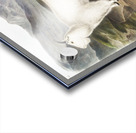 Tawny Weasel Putorius fuscus  Acrylic print